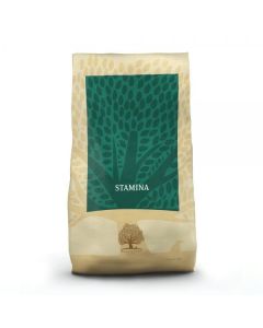 Essential Stamina 10kg